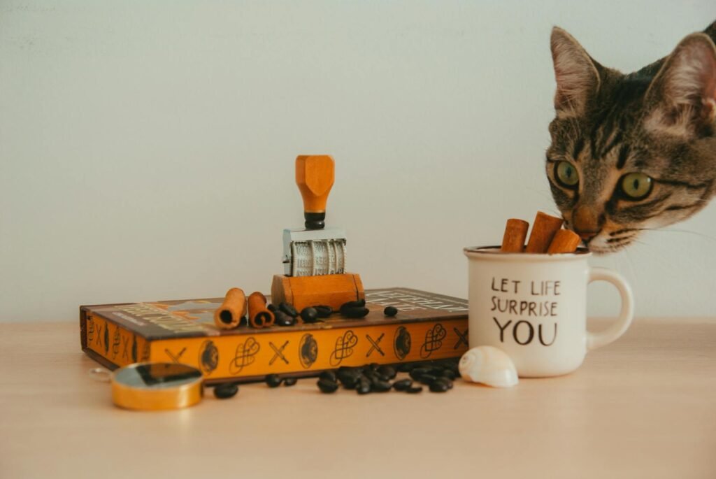 A curious cat sniffs cinnamon sticks in a mug beside a book and coffee beans, in a cozy indoor setting.