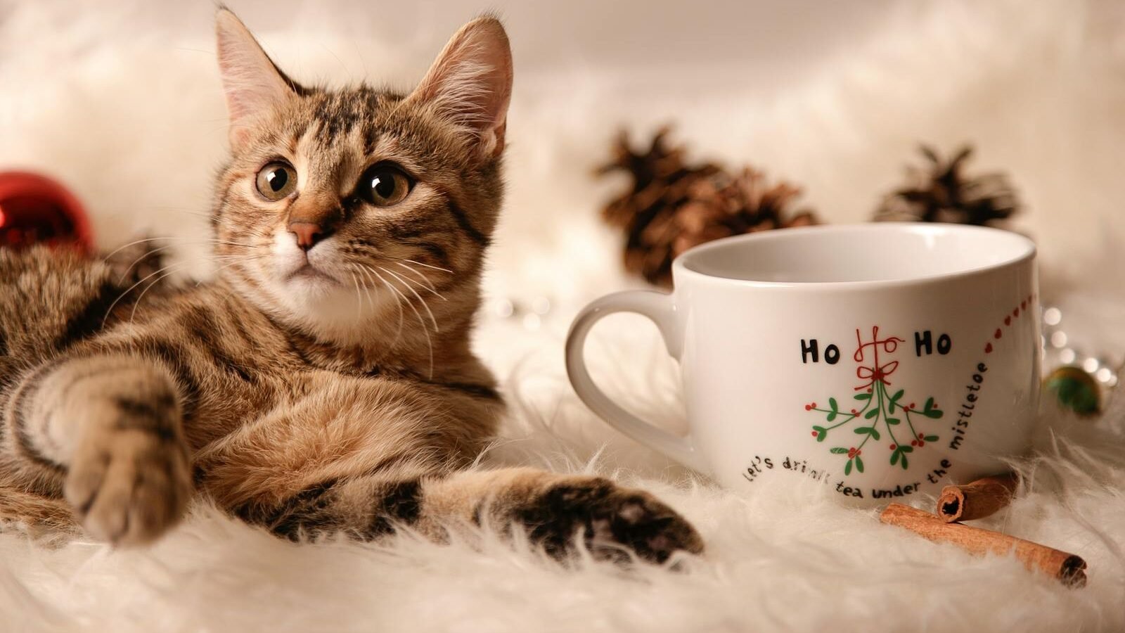 A tabby cat lying on a fluffy white surface beside a festive mug with "Ho Ho Ho" printed on it, surrounded by holiday decorations such as pinecones and ornaments.
