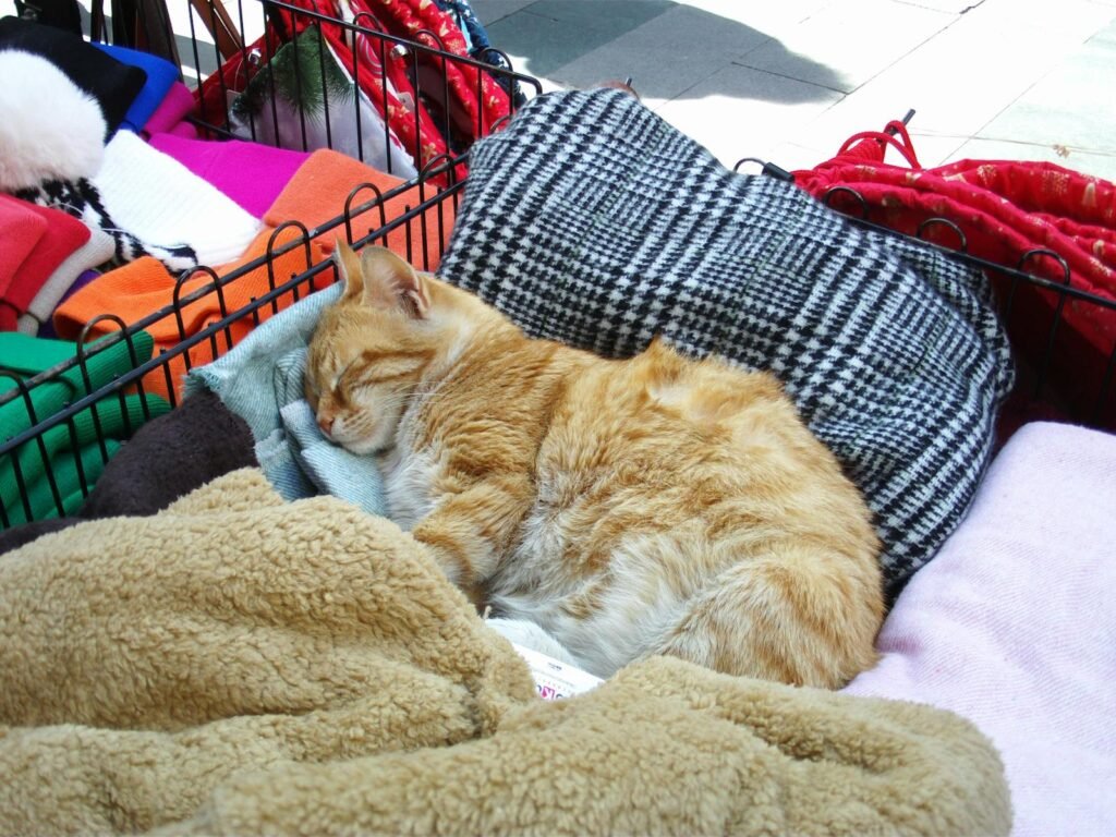 A ginger cat peacefully sleeps on a pile of colorful and cozy fabrics in a metal basket.