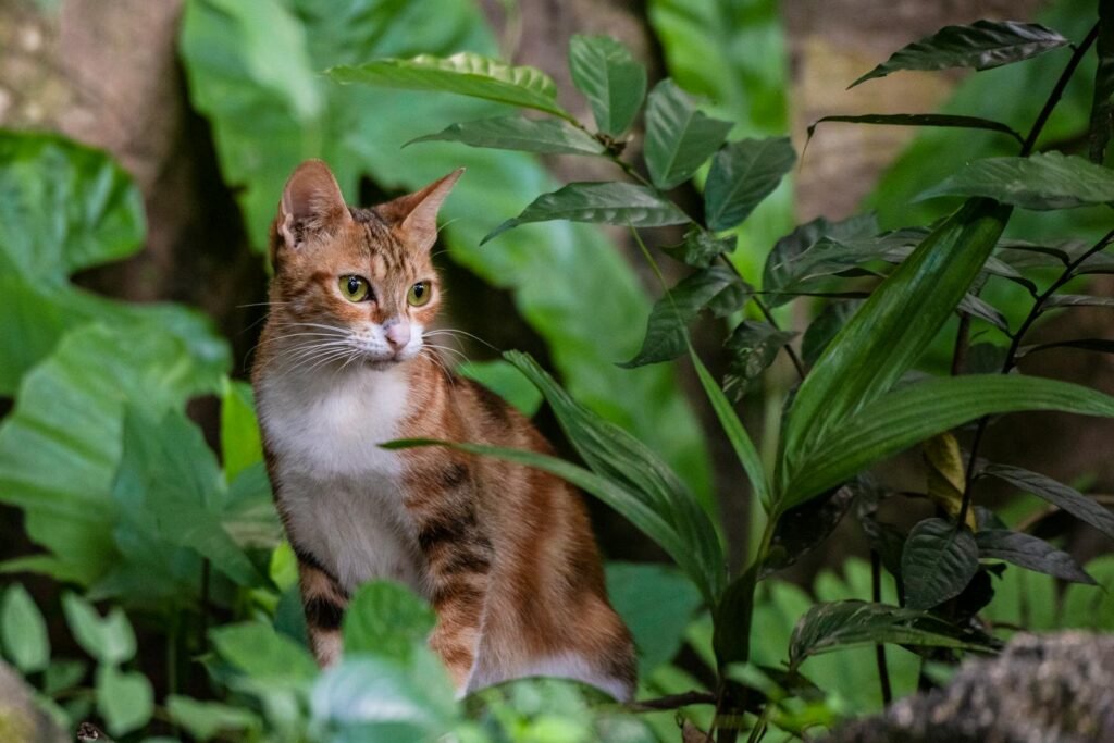 A calico cat sits alertly amidst vibrant green leaves, captured with a shallow depth of field.