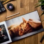 Overhead view of pictures of red cats and fox in opened horizontal photo book surrounded by pens and pot plant next to modern photo camera