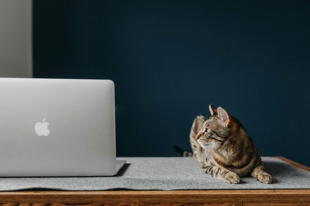 A serene brown tabby cat lies next to a laptop on a wooden desk, creating a cozy workspace vibe.
