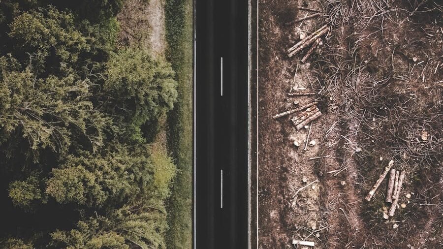 Aerial view of a road dividing a dense forest from a deforested area, highlighting habitat fragmentation and environmental impact.