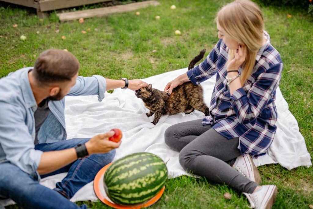A couple enjoys a casual outdoor picnic on a lawn with a cat, fruits, and a warm atmosphere.