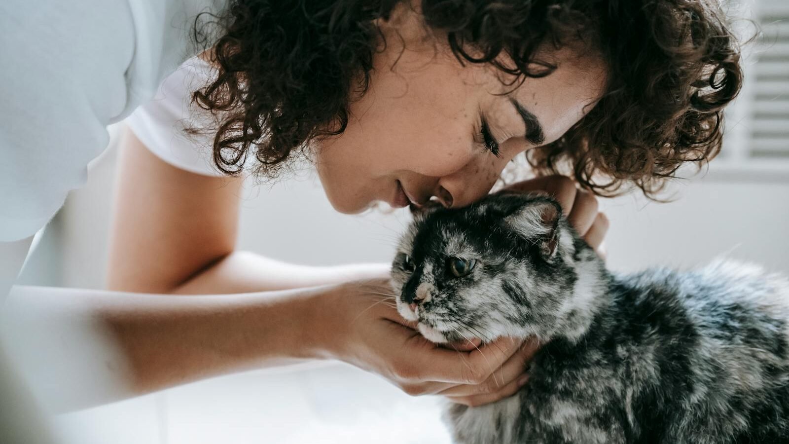 A woman with curly hair gently holding and nuzzling her cat, showing affection. The cat has a calm expression, enjoying the tender moment.