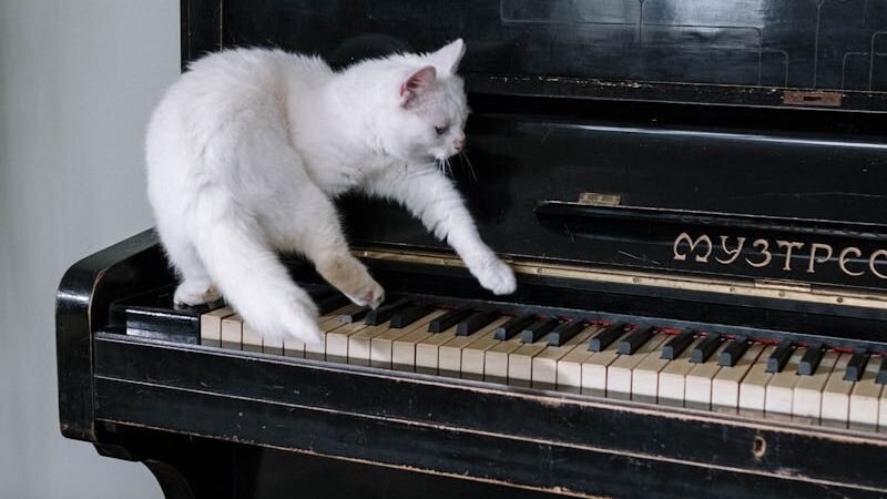 A white cat playfully pawing at the keys of an old black piano in a cozy indoor setting, highlighting its curious behavior and sensory engagement.