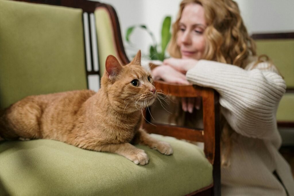 cat confusion: A woman enjoys a peaceful moment indoors with her ginger cat relaxing on a green armchair.