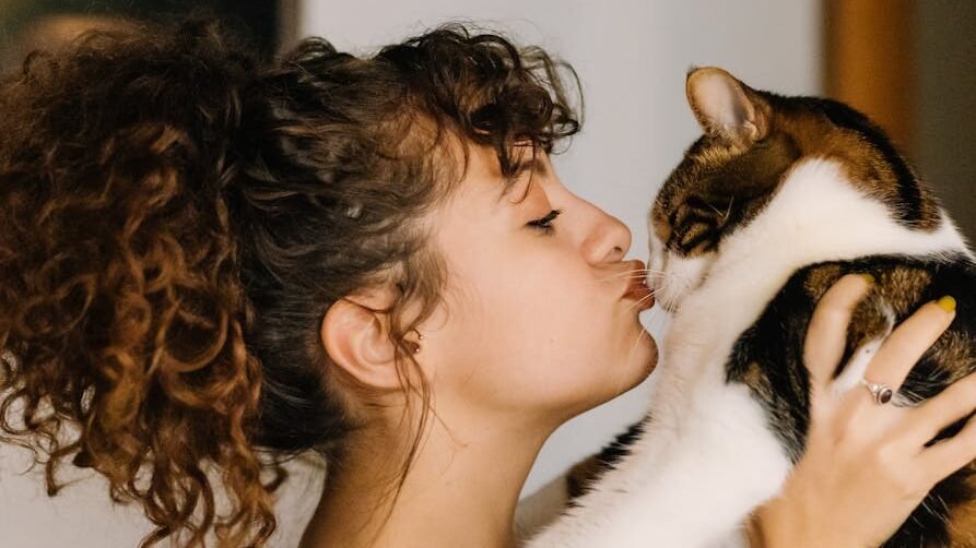 A woman with curly hair wearing a gray sweater holds a tabby and white cat, gently leaning in for a kiss, in a cozy indoor setting.