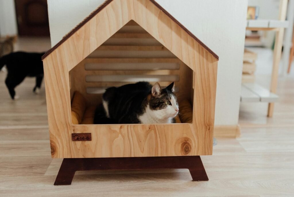 A cozy domestic cat rests inside a modern wooden pet house, creating a warm home ambiance.