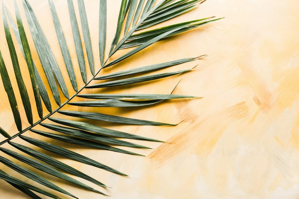  Cat-Friendly Houseplants