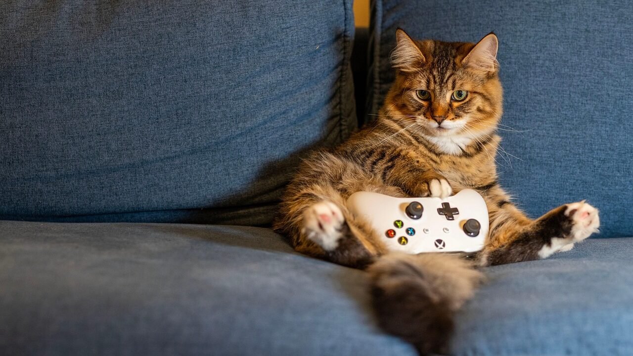  fluffy brown tabby cat lounging on a blue couch holding a video game controller with its paws
