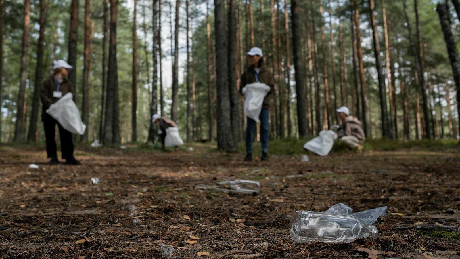 A group of volunteers wearing white caps participating in a forest cleanup, collecting plastic waste from the forest floor as part of conservation efforts.