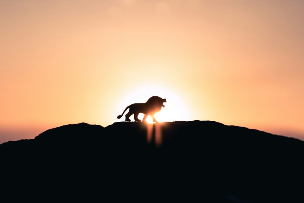 cat stories: lion roaring on top of mountain during golden hour
