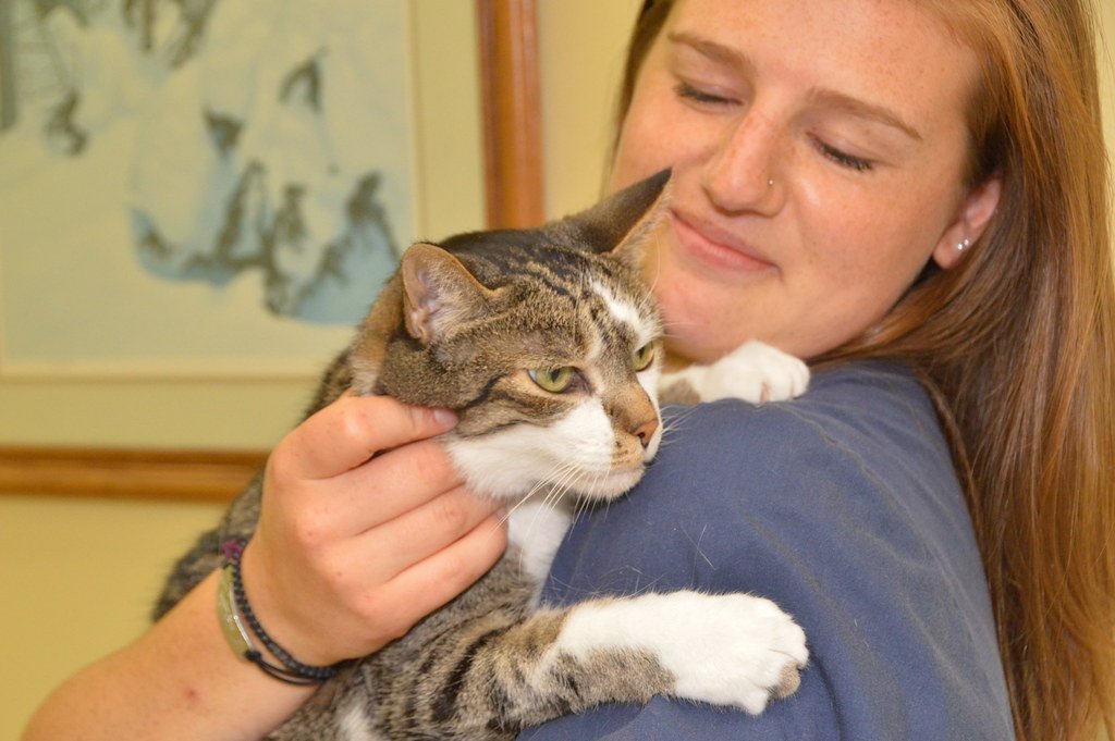 Veterinarian with a Rescue Cat #3