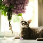 cat and plants