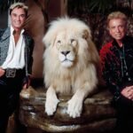 Las Vegas’s headlining illusionists Siegfried & Roy along with one of their performing white lion