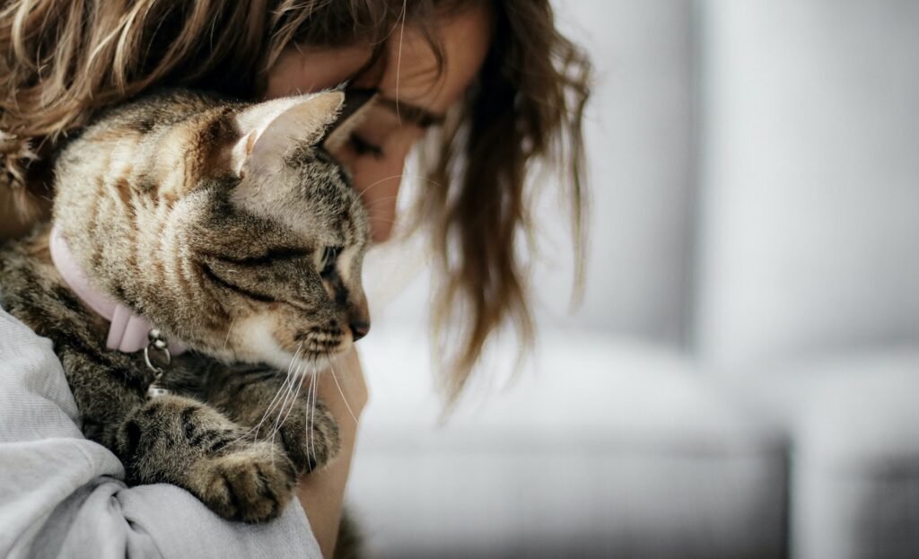 cat bond: woman in white tank top carrying brown tabby cat