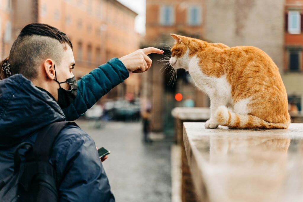 man in black jacket holding orange and white cat