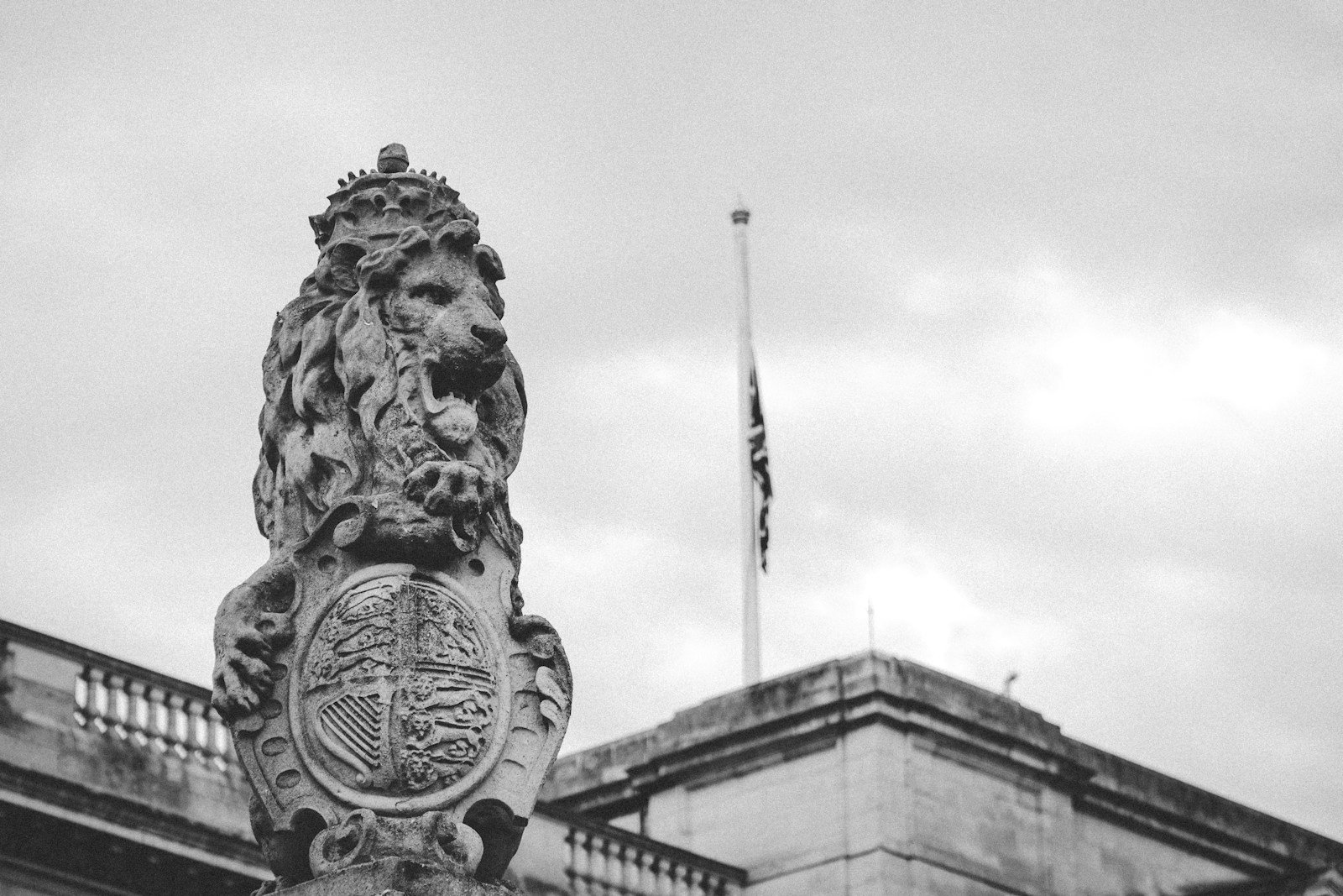 Photo by Dorin Seremet a statue of a lion
