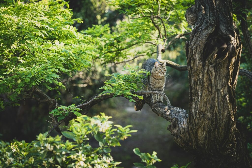 brown and black owl on tree branch