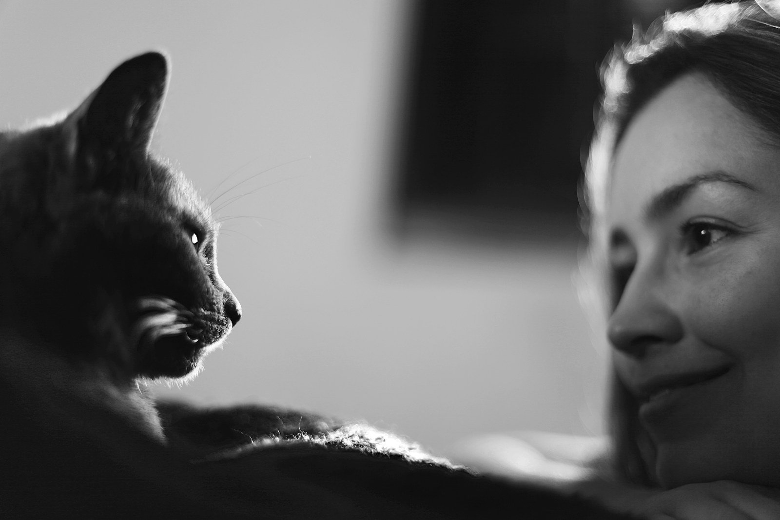 Photo by Silvana Carlos cat on bed in grayscale photography