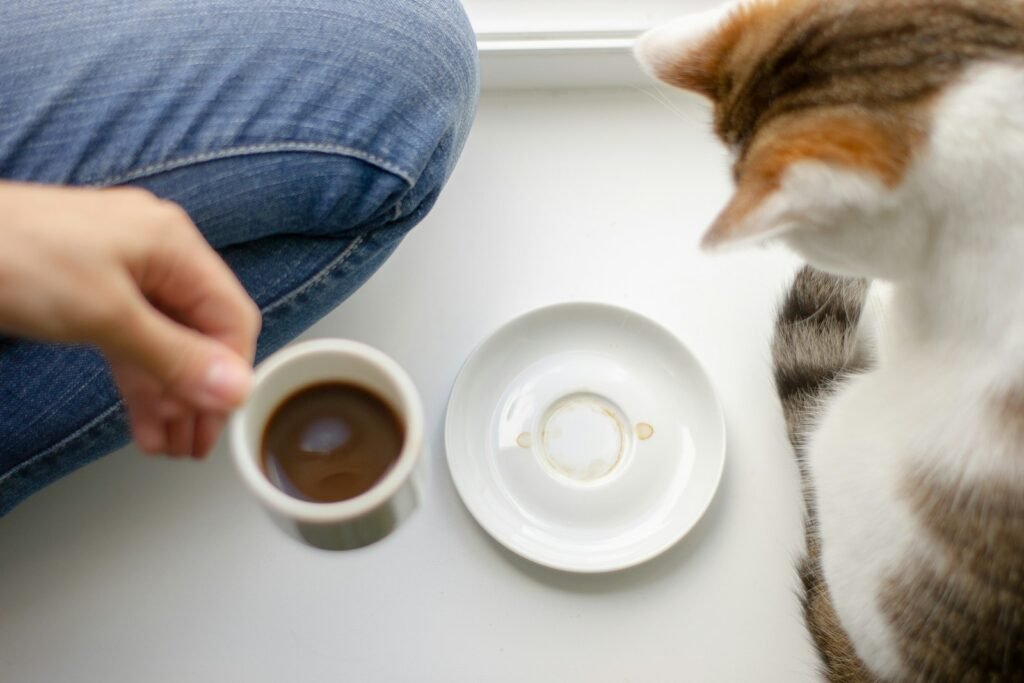 A cat sitting on a table next to a cup of coffee