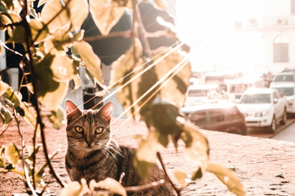 a cat sitting on the ground next to a tree
