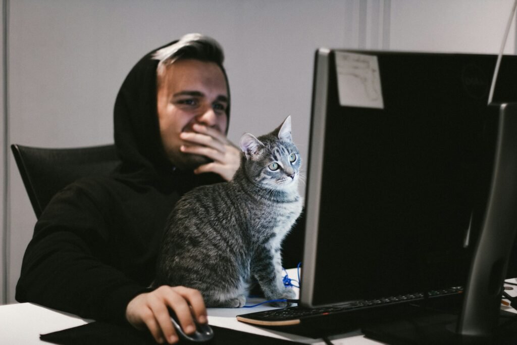 Warm Cat man using computer desktop front of cat