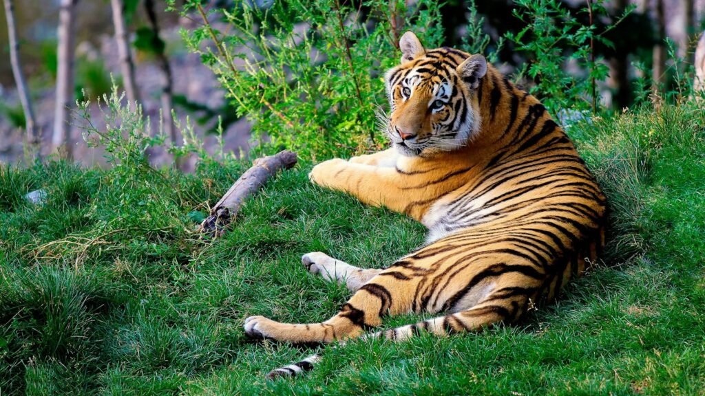 Conservationists