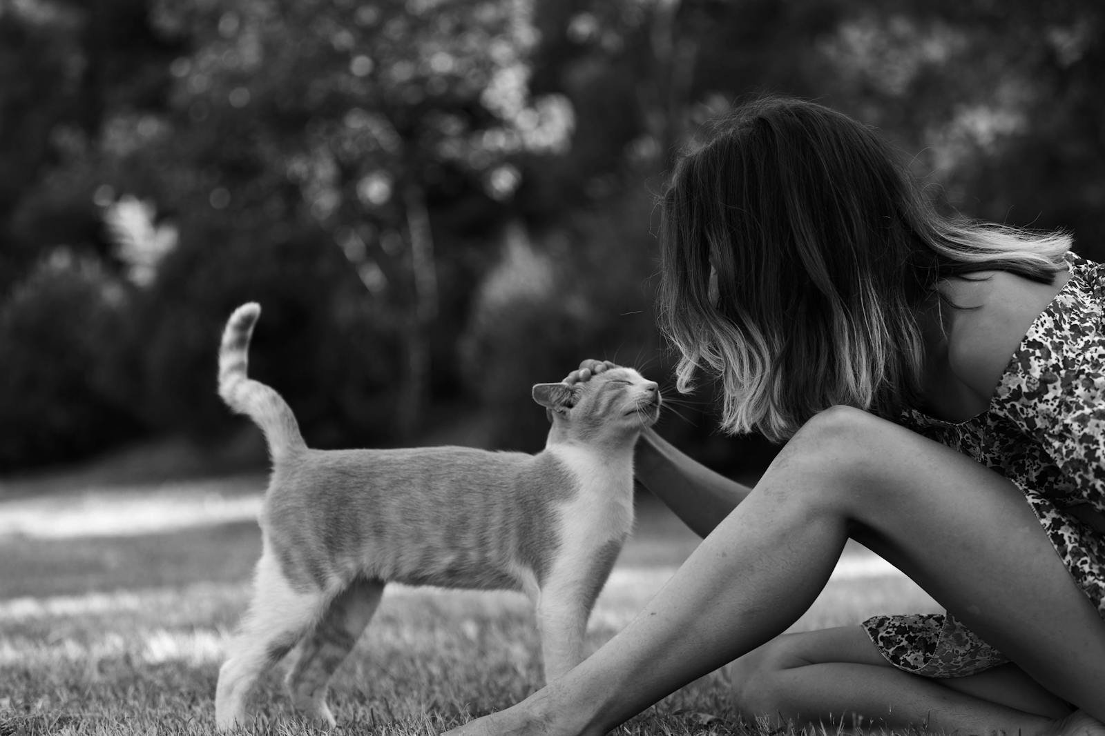 A black and white photo of a woman lovingly petting a cat outdoors, showcasing a calm moment.