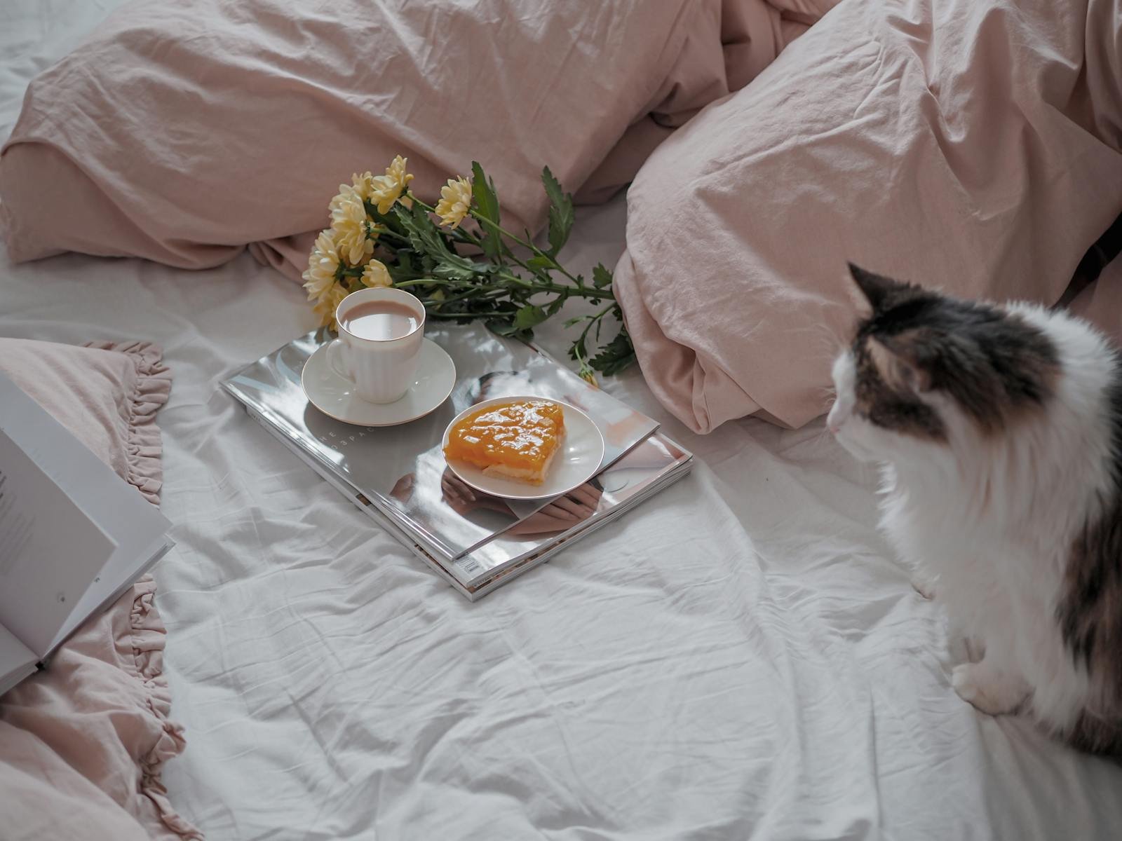 A relaxing morning scene with a cat, coffee, and flowers on a cozy bed.