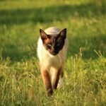 Stronger Emotional Routine