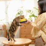 A woman holds a bowl for her curious cat in a cozy indoor setting, capturing a moment of affection and bonding.