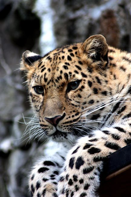 Environmental Factors Affecting Mating