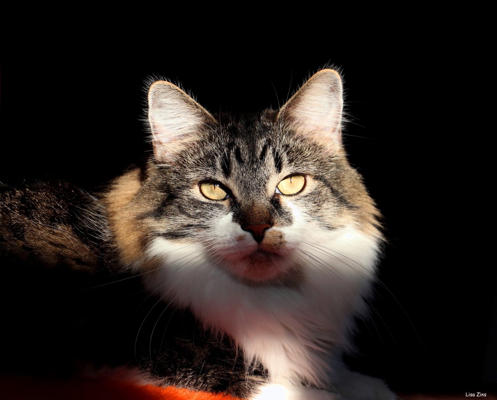 Instinctual Satisfaction (image credits: wikimedia)