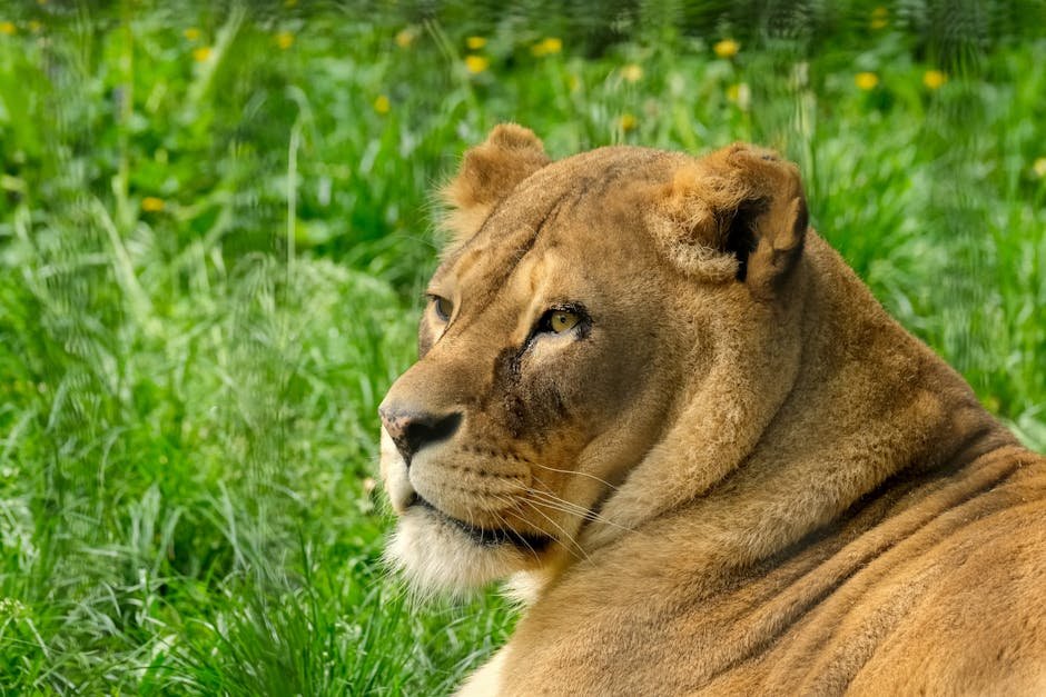 Adapting to Prey Evasion Tactics (image credits: pexels)
