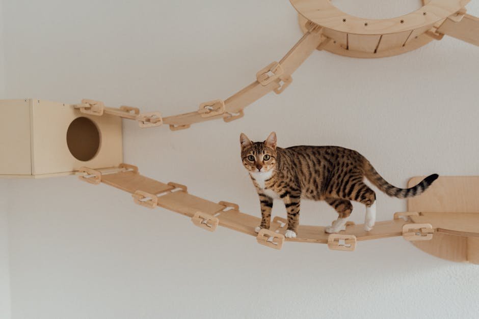 The Role of Enrichment Activities (image credits: pexels)
