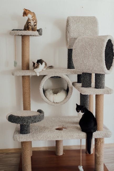 Purring and Pain Management (image credits: pexels)