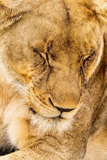 Promoting Biodiversity (image credits: pexels)