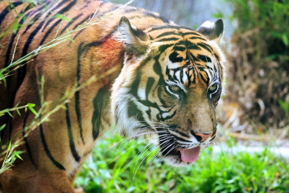 Protecting Plant Life (image credits: pexels)