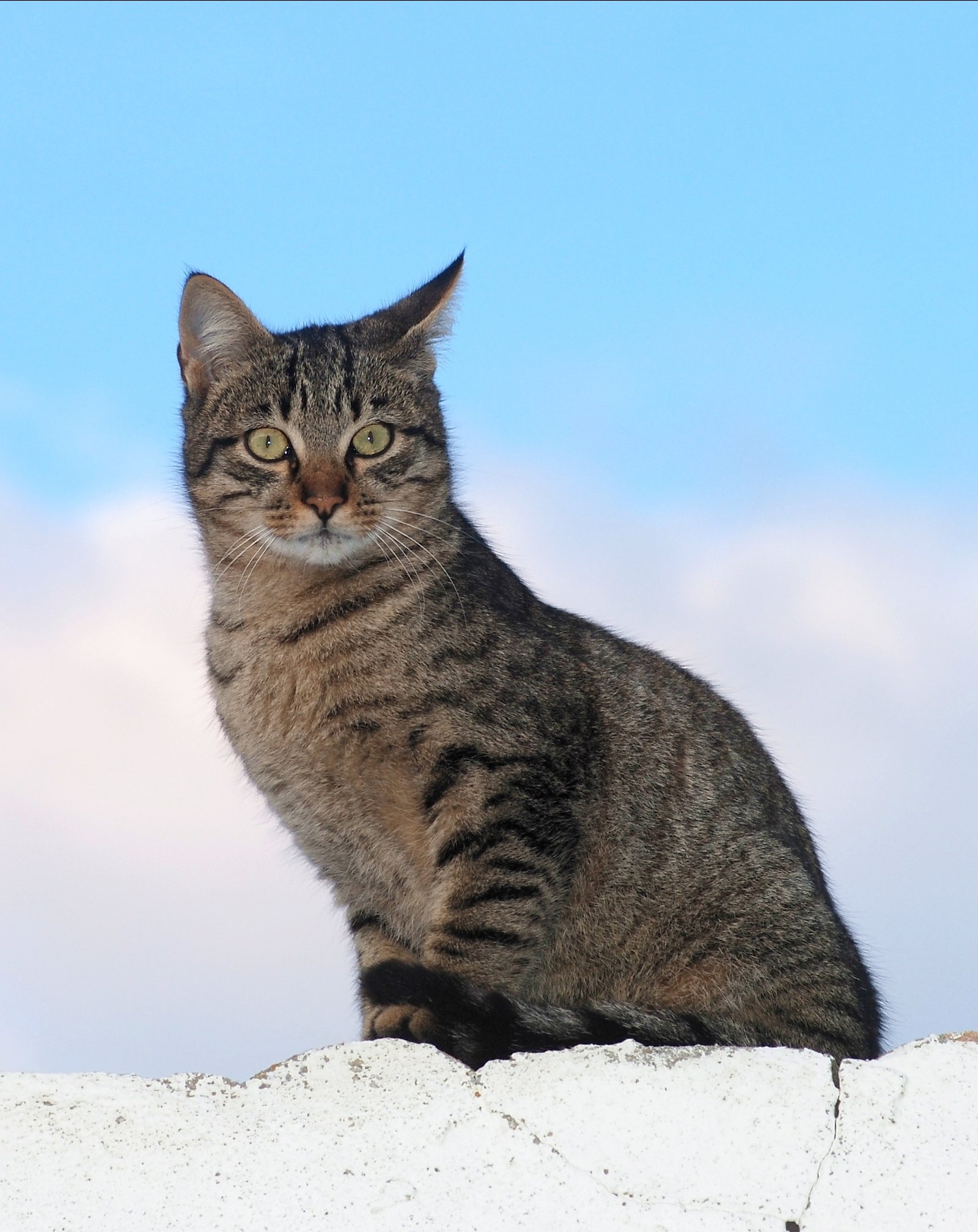 5. The Perch (image credits: wikimedia)
