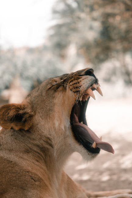 International Collaboration for Conservation (image credits: pexels)