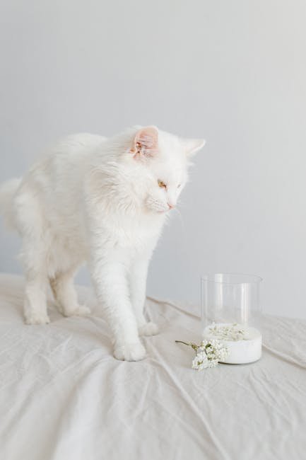 Introducing New Scents (image credits: pexels)