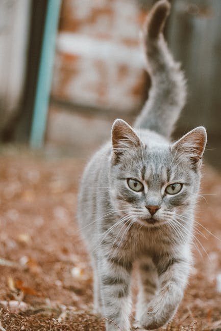 Choosing the Right Time to Move (image credits: pexels)