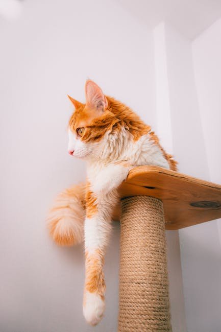 Creating Vertical Spaces (image credits: pexels)
