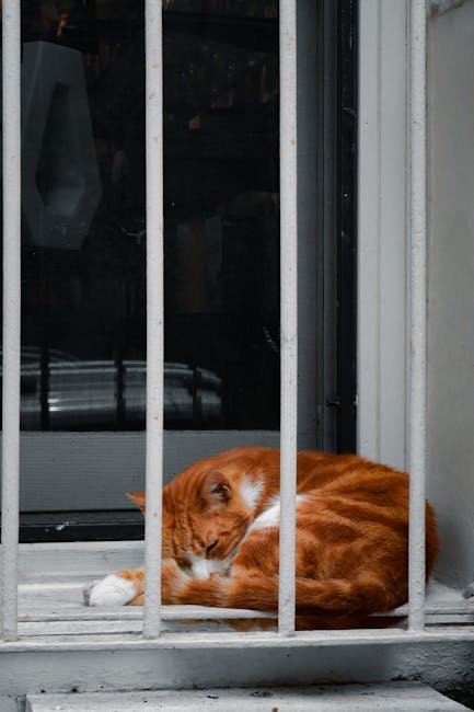 Keeping Windows Secure (image credits: pexels)
