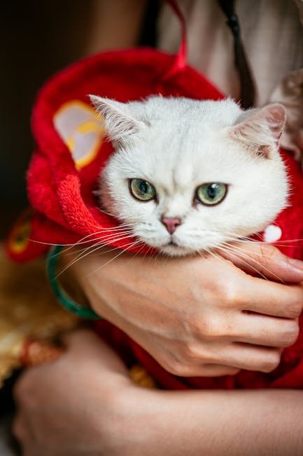 Seeking Professional Help (image credits: pexels)