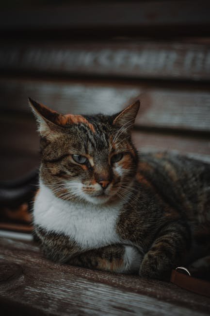 The Role of Intuition (image credits: pexels)