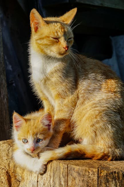 Building a Strong Bond (image credits: pexels)