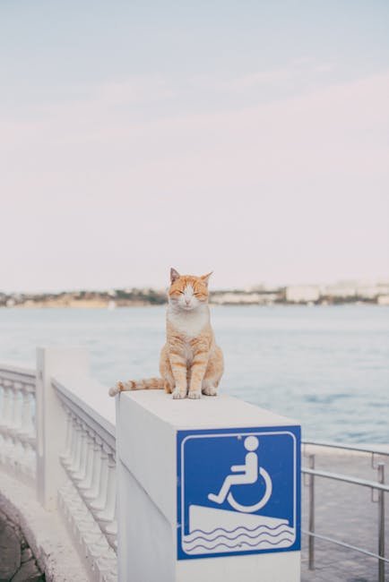 Providing Easy Access (image credits: pexels)